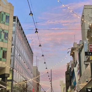 猎奇小屋(破解版)免广告2024
