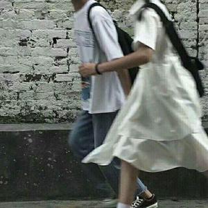 猎奇小屋(破解版)免广告2024
