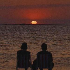 猎奇小屋(破解版)免广告2024
