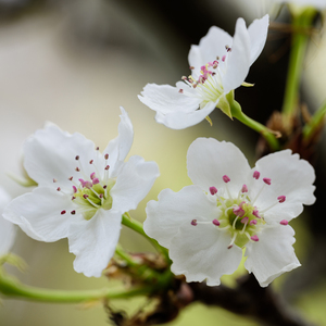 猎奇小屋(破解版)免广告2024
