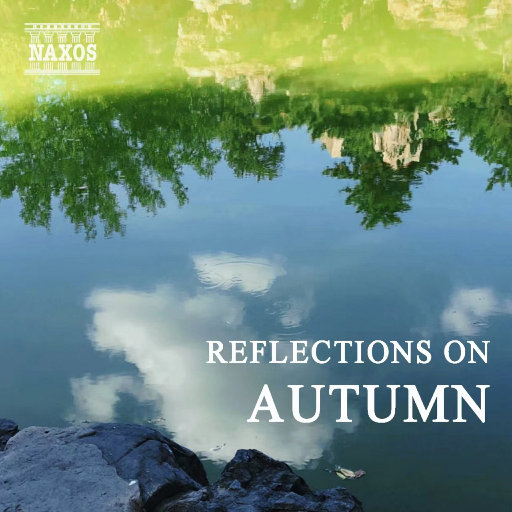 猎奇小屋(破解版)免广告2024
